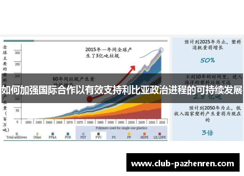 如何加强国际合作以有效支持利比亚政治进程的可持续发展